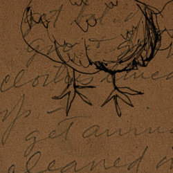drawing