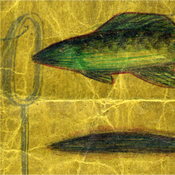 drawing