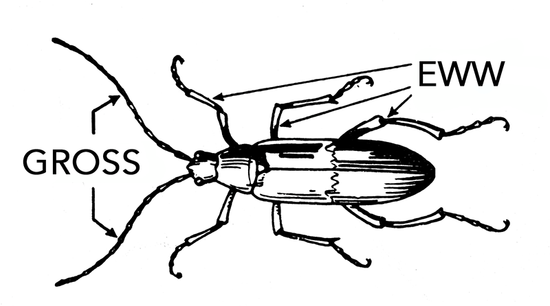 diagram4