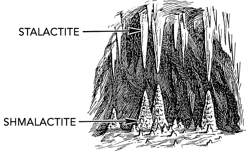 diagram5