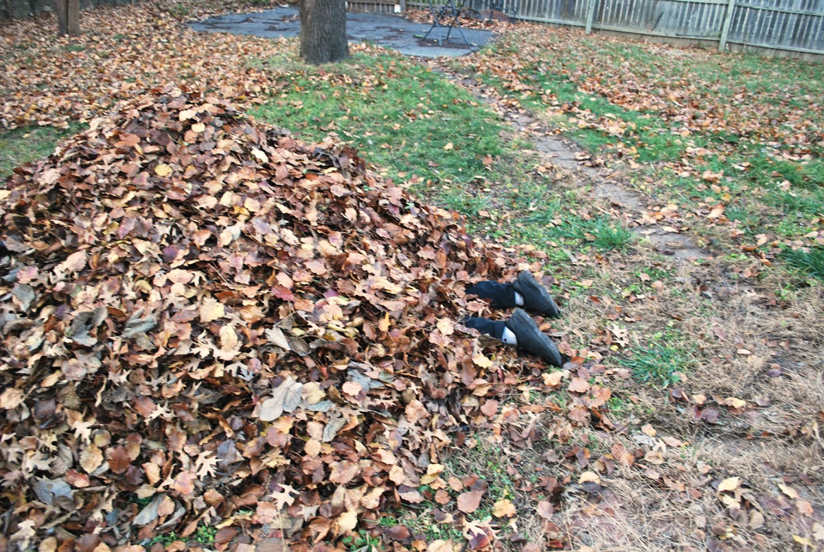 leaf pile with legs sticking out